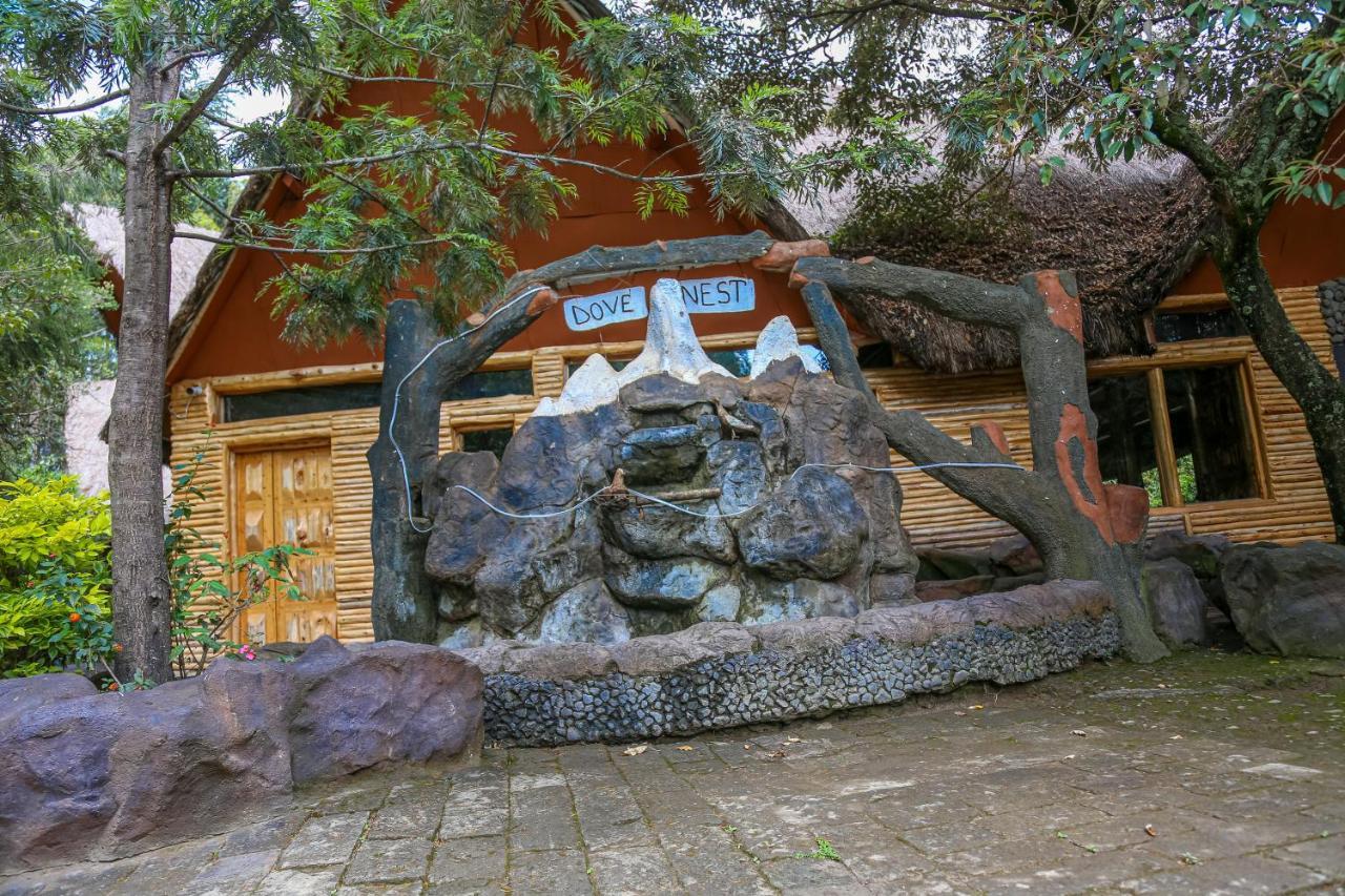 Lodge Dovenest