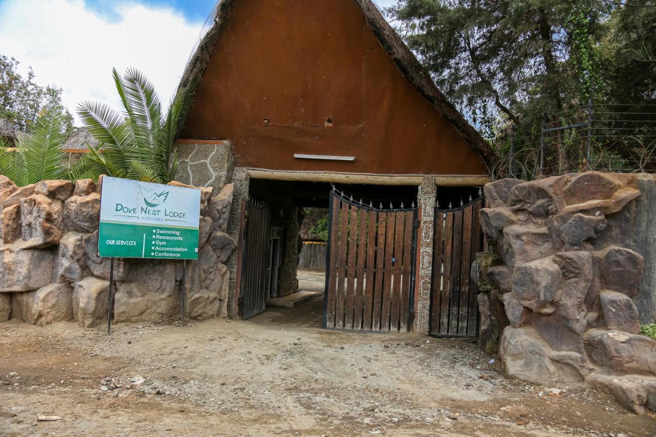 Dovenest Lodge