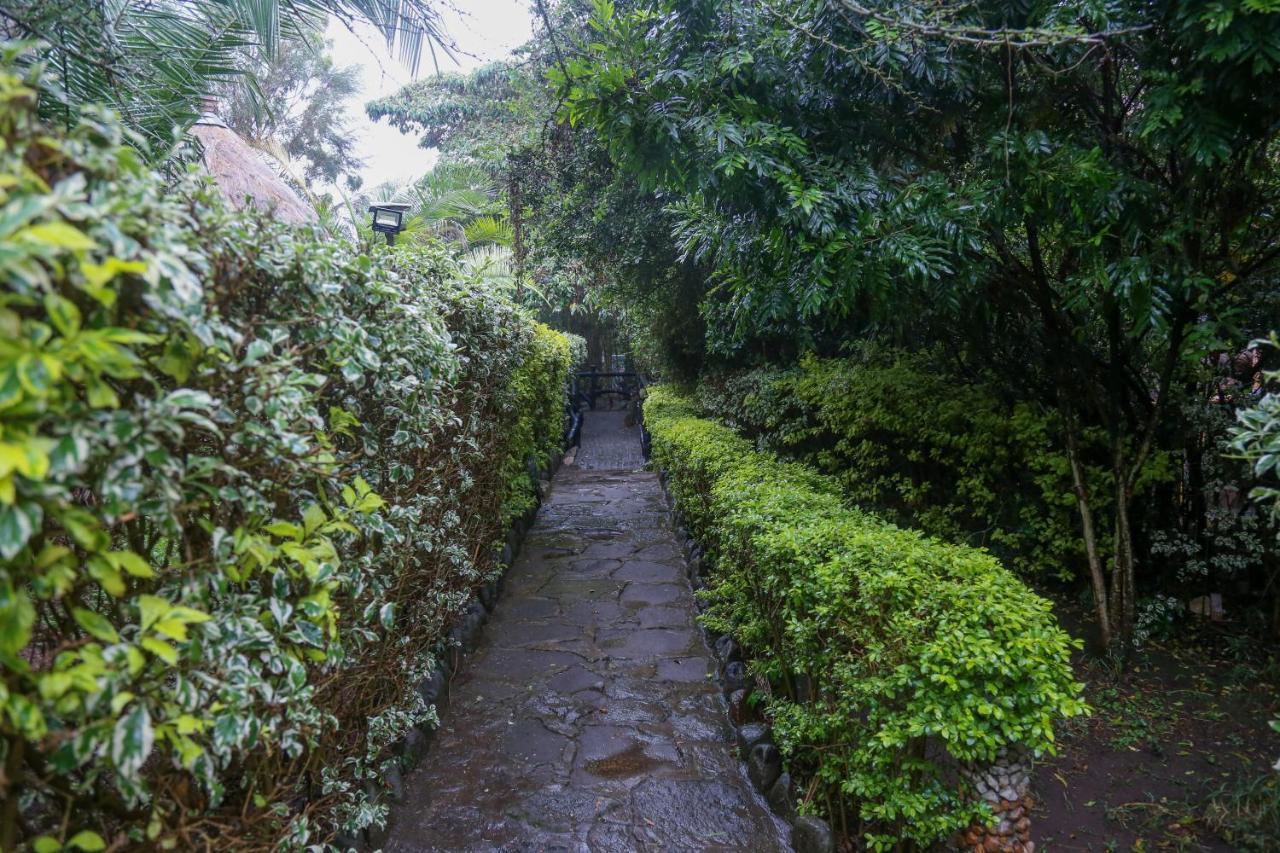 Dovenest Lodge Naivasha